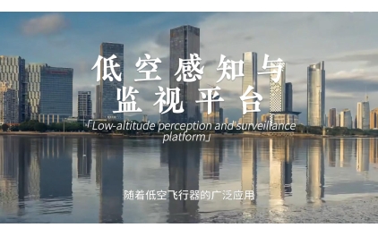 低空感知与监视平台